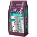 Frost Puppy Large Breeds 10.1Kg