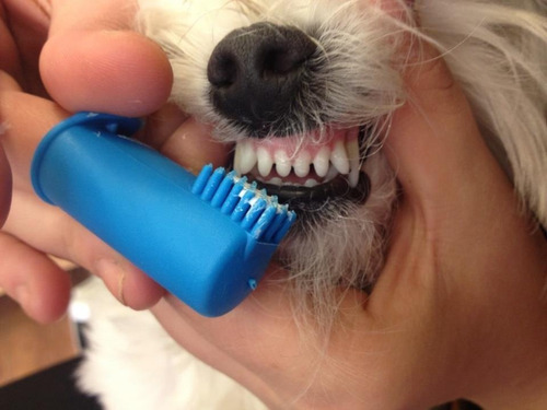 Dedeira (cepillo Dental)
