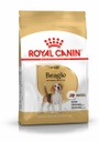Royal Beagle Adulto 3kg