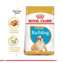 Royal Canin bulldog ingles puppy 12kg