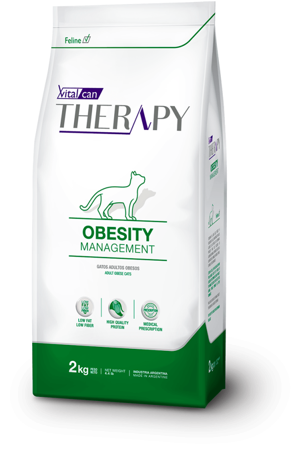 Therapy Feline Obesity 2kg