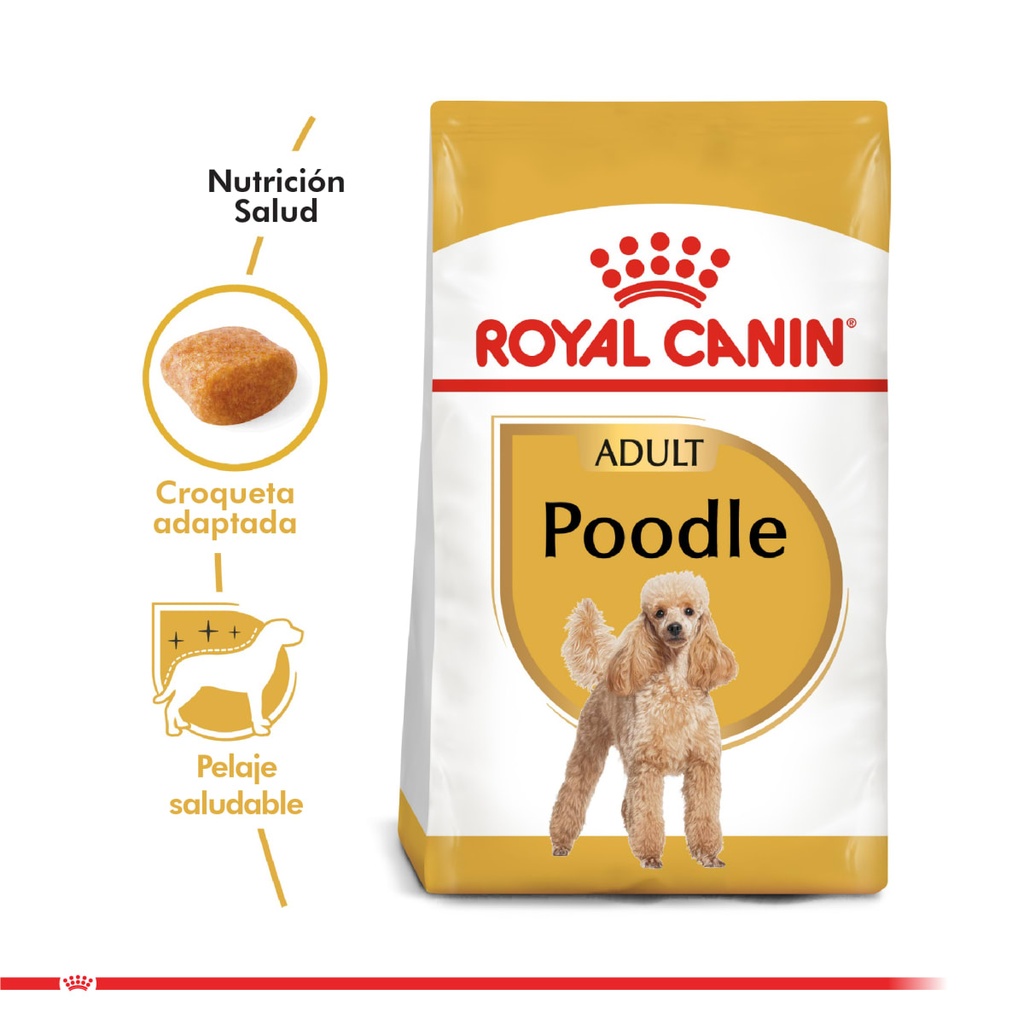 Royal Canin Poodle Adulto 2.5kg