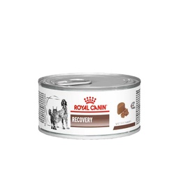 Royal canin Lata Recovery 145gr
