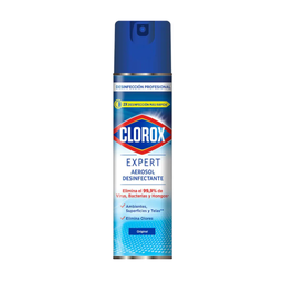 Clorox Spray Desinfectante 252g
