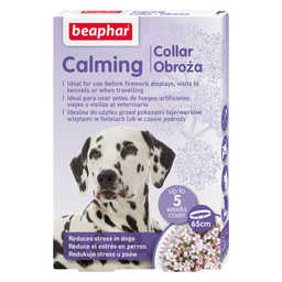 Beapher Calming Collar Dog